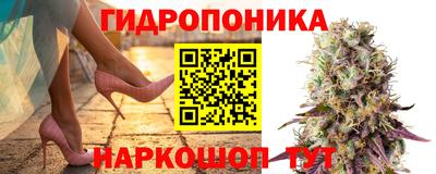 стафф Рязань