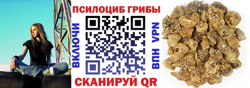 Псилоцибиновые грибы прущие грибы  цена   Прокопьевск 