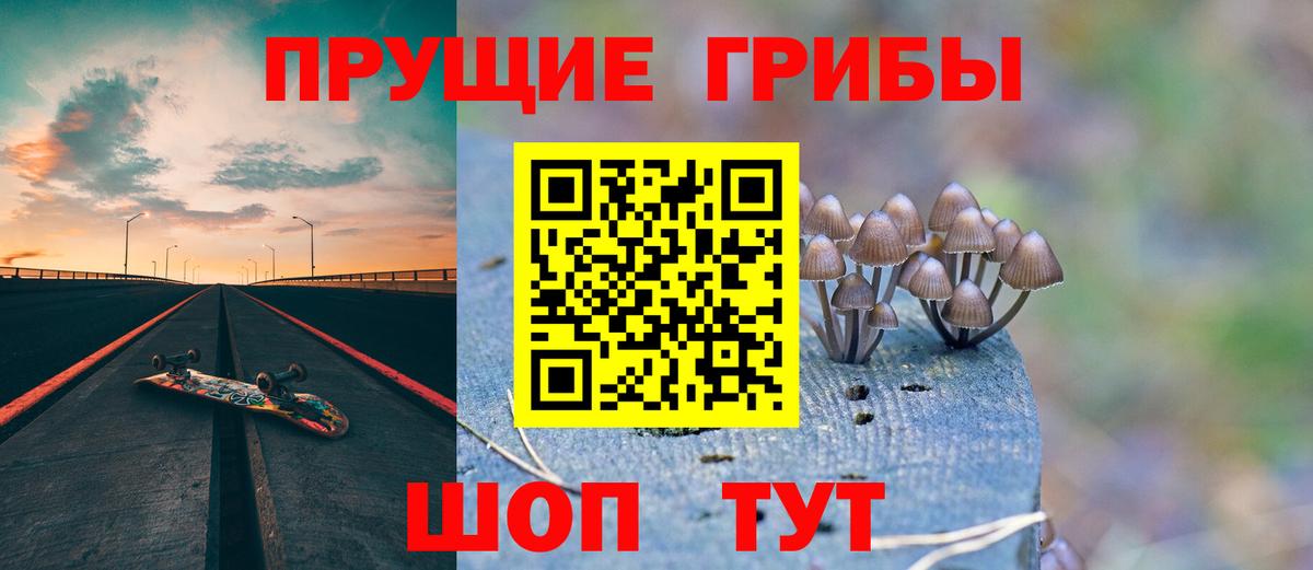 Псилоцибиновые грибы Psilocybe Прокопьевск