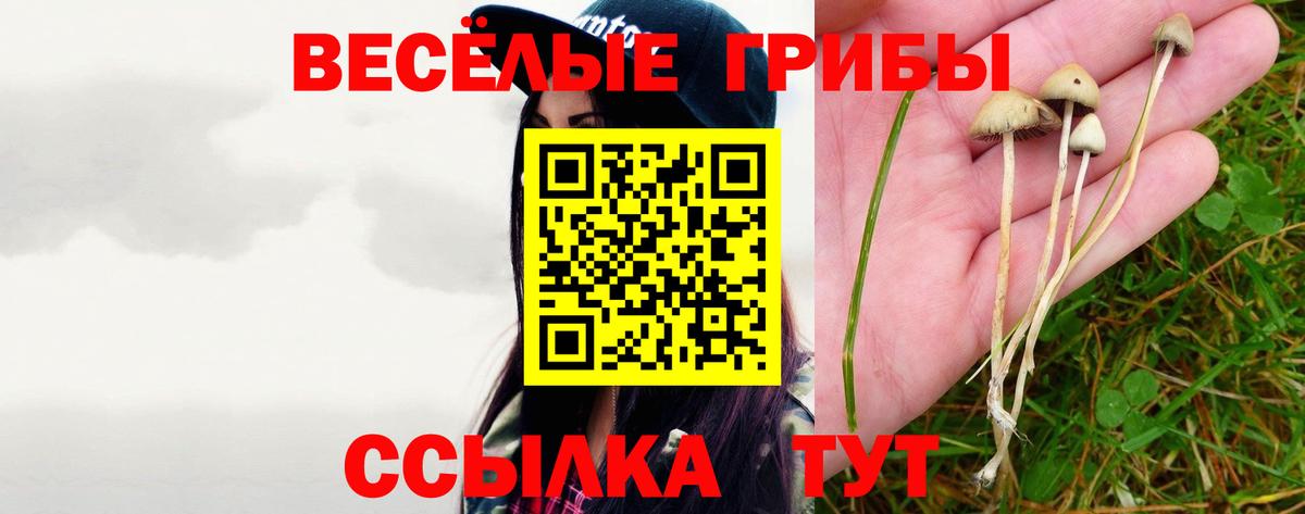 Псилоцибиновые грибы Cubensis  Псилоцибиновые грибы Psilocybe  купить наркотики цена  Прокопьевск  Вход с VPN 